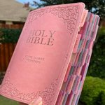 Beautiful KJV Pink Leather Soft Giant Print Bible with Ombre Tabs