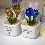 Personalized Hand Blown Glass Everlasting Tulips with Custom Name & Color, Potted Flower Mother's Day Gift for Mom