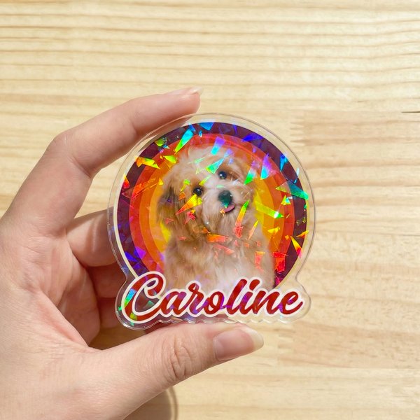 Personalized Cute Pet Portrait Acrylic Phone Grip Custom Photo and Name Phone Holder with Kickstand Daily Gifts for Pet Lovers