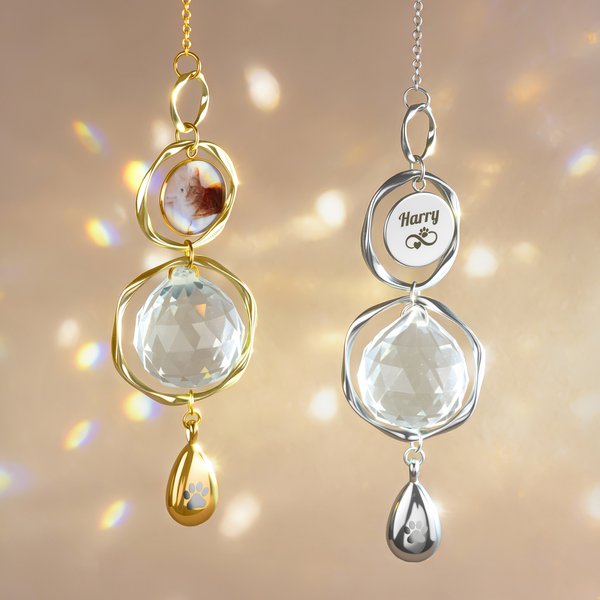 Personalized Pet Photo Gem Paw Print Sun Catcher with Urn Pendant Memorial Sympathy Gift for Pet Owners