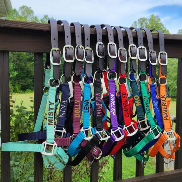 Personalized Breakaway Horse Halter with Name, Adjustable Horse Halter for Cob Halter/Horse, Horse Awards, Gift for Horse Lovers/Riders