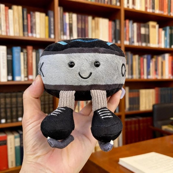 Personalized Hockey Plush Keychain with Name & Cartoon Charm, Hockey Romance Doll Keyring, Birthday/Christmas Gift for Hockey Fan/Him/Her