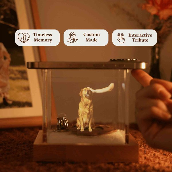 Boîte holographique personnalisée avec fourrure, photo et nom d'urne gravé, boîte holographique 3D pour animaux de compagnie, cadeau en cas de perte d'un chien ou d'un chat.