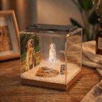 Boîte holographique personnalisée avec fourrure, photo et nom d'urne gravé, boîte holographique 3D pour animaux de compagnie, cadeau en cas de perte d'un chien ou d'un chat.